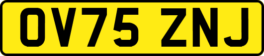 OV75ZNJ