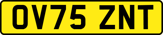 OV75ZNT
