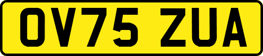 OV75ZUA