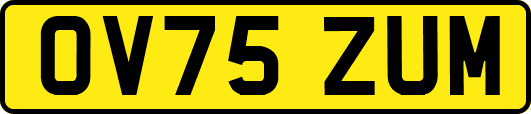 OV75ZUM