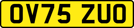 OV75ZUO
