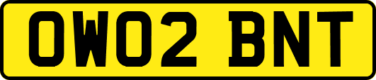 OW02BNT