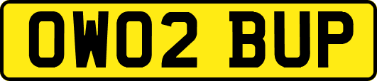 OW02BUP