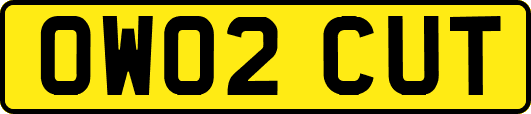 OW02CUT