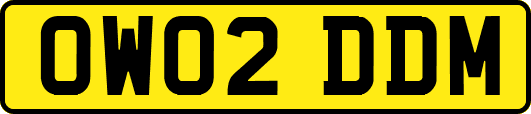 OW02DDM