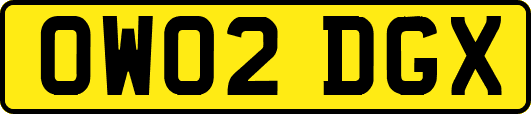 OW02DGX