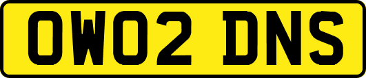 OW02DNS