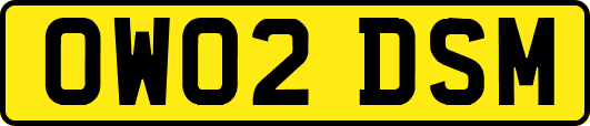 OW02DSM