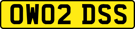 OW02DSS