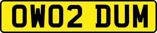 OW02DUM