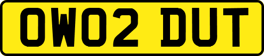 OW02DUT