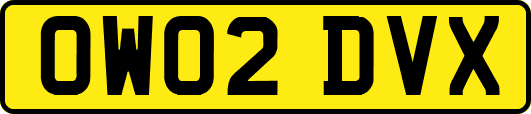 OW02DVX