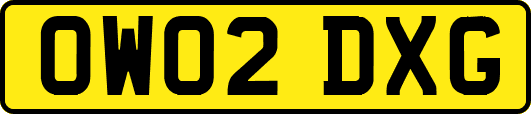 OW02DXG