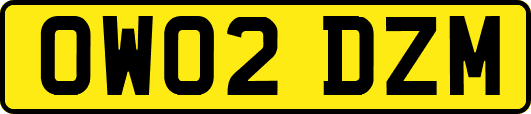 OW02DZM