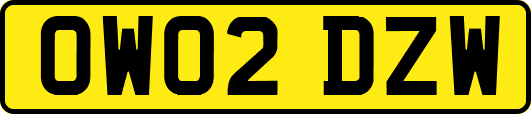 OW02DZW