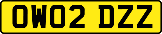 OW02DZZ