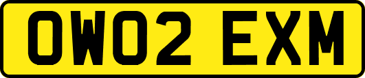OW02EXM