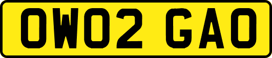 OW02GAO