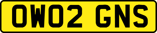 OW02GNS