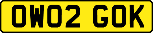 OW02GOK