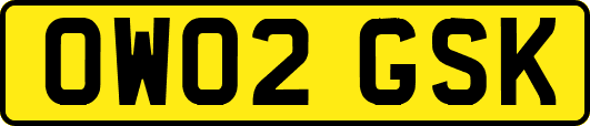 OW02GSK