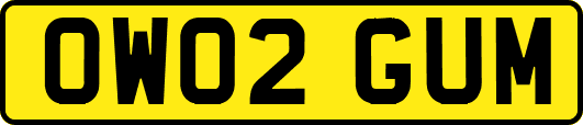 OW02GUM