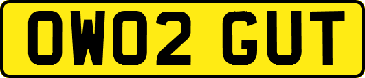 OW02GUT