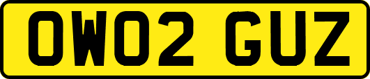 OW02GUZ