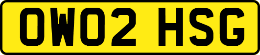 OW02HSG