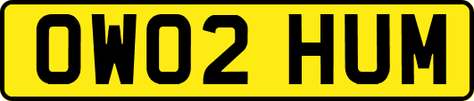 OW02HUM