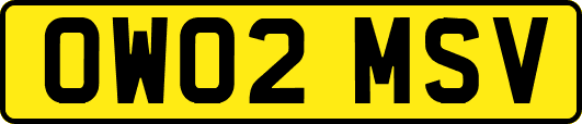 OW02MSV