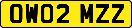 OW02MZZ