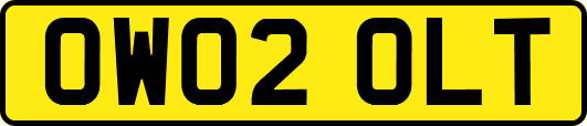 OW02OLT
