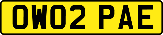 OW02PAE