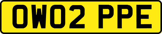 OW02PPE
