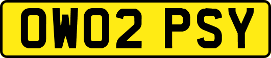 OW02PSY