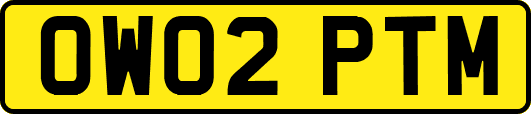 OW02PTM