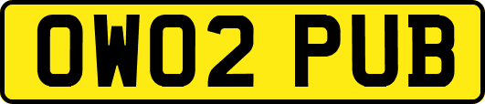 OW02PUB
