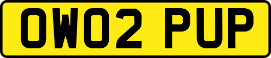 OW02PUP