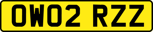 OW02RZZ