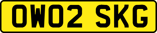 OW02SKG