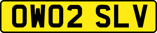 OW02SLV