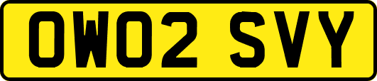 OW02SVY