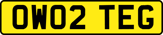 OW02TEG