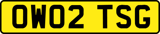 OW02TSG