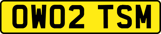 OW02TSM