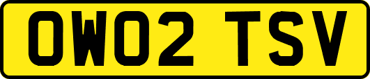 OW02TSV
