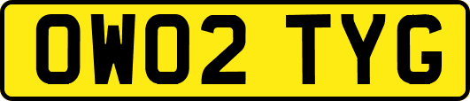 OW02TYG