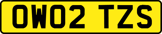 OW02TZS