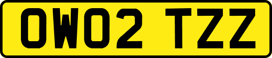 OW02TZZ